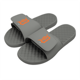 Detroit Tigers Alternative Slides