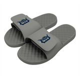Detroit Tigers Primary Slides