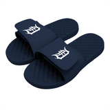 Detroit Tigers Primary Slides