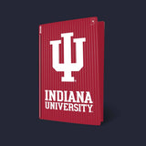 Indiana Hoosiers PS5 VarsityWrapz