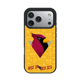 Arizona Cardinals 2024 Edition Bump Phone Case for Apple iPhone 17 Series