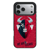 Houston Texans 2024 Edition Bump Phone Case for Apple iPhone 17 Series