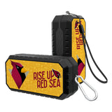 Arizona Cardinals 2024 Illustrated Limited Edition Bluetooth Speaker