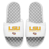 LSU Basketball Wordmark Slides