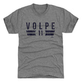 Anthony Volpe New York Y Font