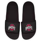 Ohio State Primary Motto Slides