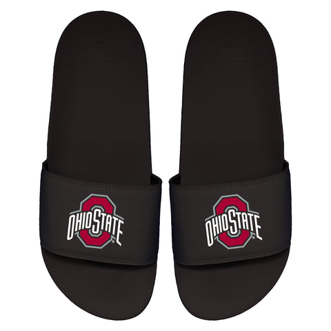 Ohio State Primary Motto Slides