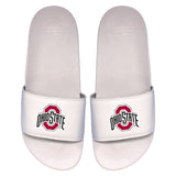 Ohio State Primary Motto Slides