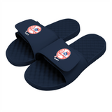 New York Yankees Primary Slides