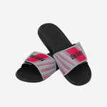 Ohio State Buckeyes Legacy Sport Slide