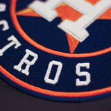 Houston Astros Logo Panel
