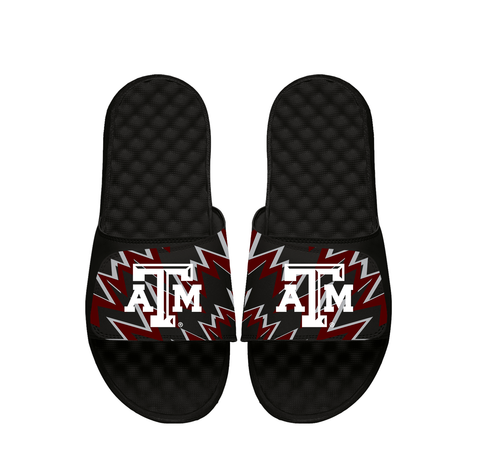 NCAA Texas A&M High Energy Slides