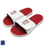 Detroit Tigers Red Americana Slides