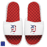 Detroit Tigers Red Americana Slides