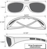 Carolina Panthers Wrap Sunglasses