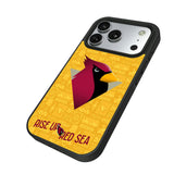 Arizona Cardinals Deco Bump Phone Case for Apple iPhone