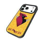 Arizona Cardinals Deco Bump Phone Case for Apple iPhone