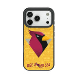 Arizona Cardinals Deco Bump Phone Case for Apple iPhone