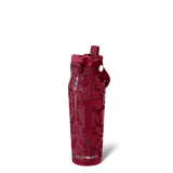 Bottle Buddy 24oz | Texas A&M Aggies | Color Rush