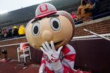 Being Brutus: Inside the Head of Ohio State's Iconic Mascot - PREORDER ships 11/27/2026
