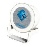 Detroit Lions Deco Night Light Charger and Bluetooth Speaker