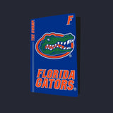 Florida Gators PS5 VarsityWrapz