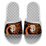 San Francisco Giants Slides
