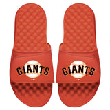 Giants Primary Slides