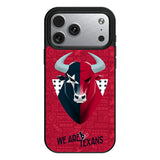 Houston Texans Deco MagSafe Compatible Phone Case for Apple iPhone