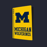 Michigan Wolverines PS5 VarsityWrapz