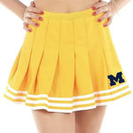 University of Michigan Tailgate Skirt