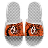 Baltimore Orioles Slides