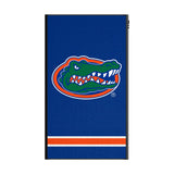 University of Florida Gators Stripe 5000mAh Flat Powerbank
