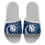 New York Yankees Slides