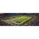 Dallas Cowboys 1000 Piece Stadium Panoramic Jigsaw Puzzle